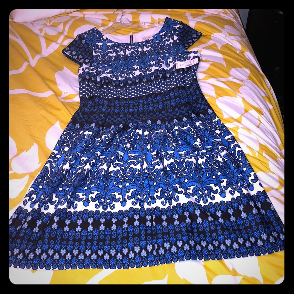 NWT dressbarn Boat-neck Dress 👗